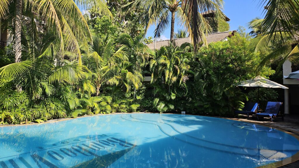 Tranquil outdoor swimming pool surrounded by dense tropical plants and palm trees at Bamboo Village Resort.