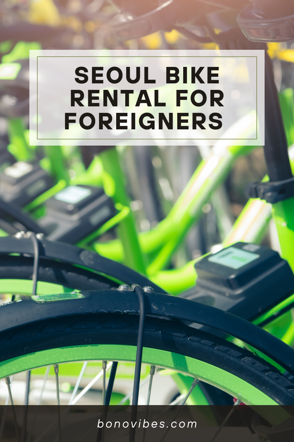 Seoul Bike Rental for Foreigners – Ddareungi Solo Ride Tips & Mistakes