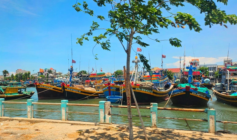 Colorful fishing boats docked at a harbor, captured during the van ride to Mui Ne.